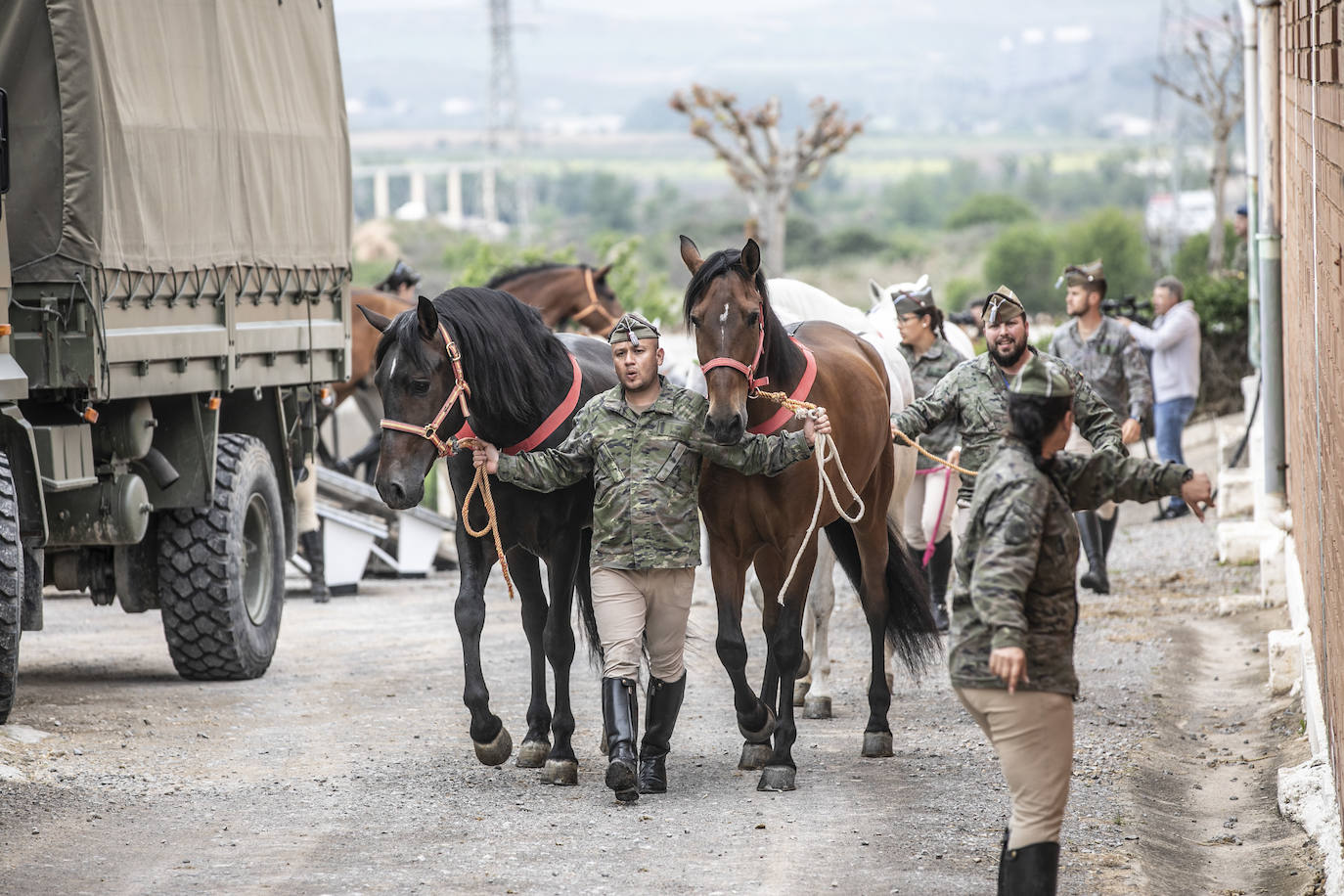 Fotos: Los caballos de la Guardia Real, una raza aparte