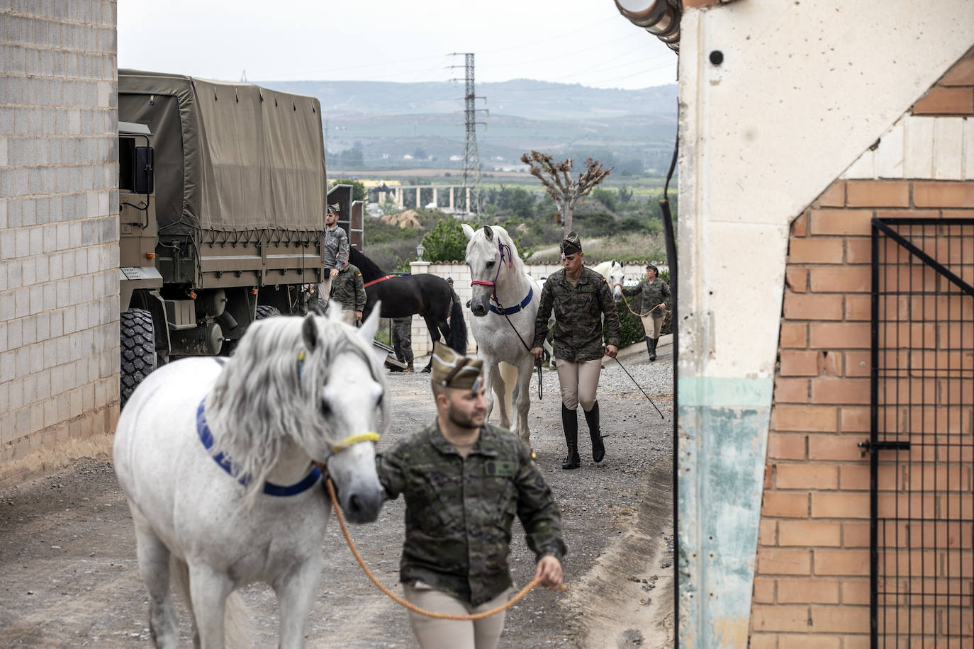 Fotos: Los caballos de la Guardia Real, una raza aparte