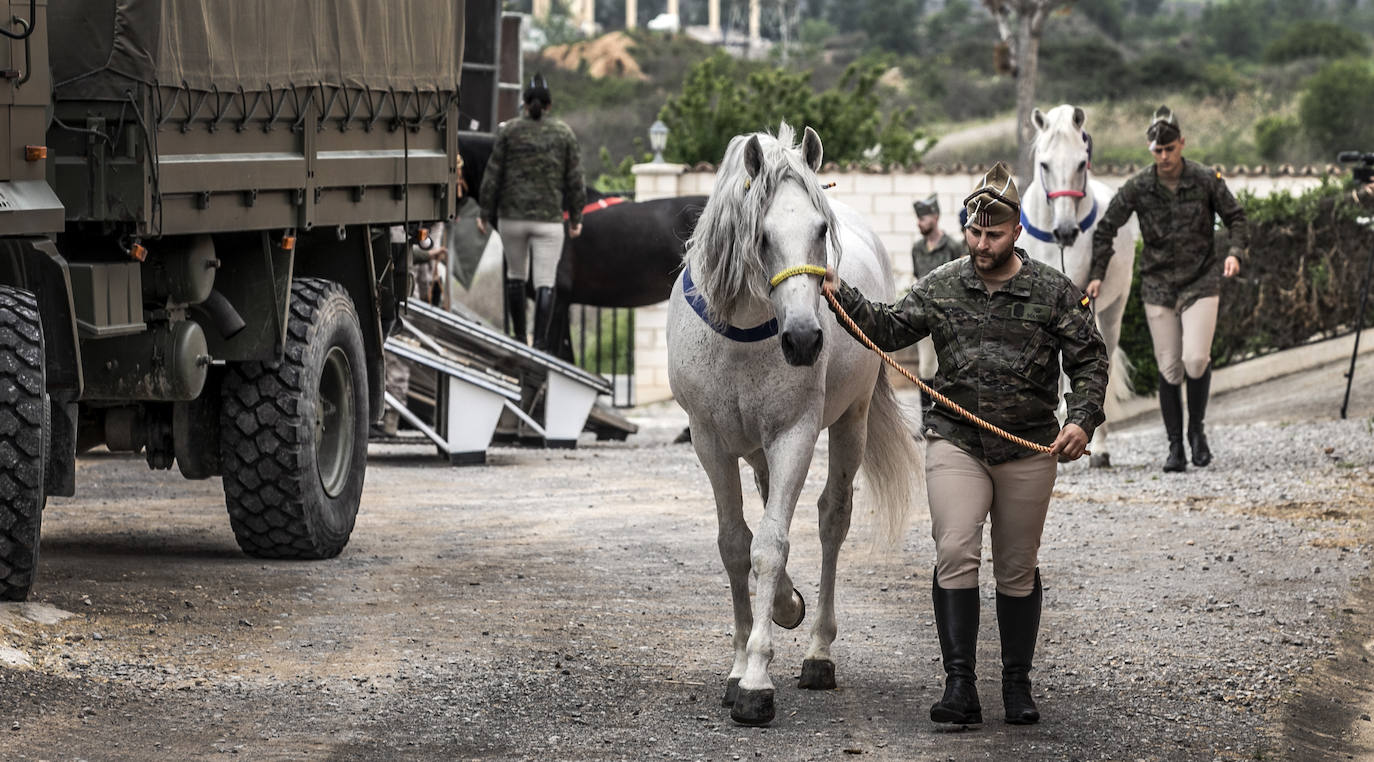 Fotos: Los caballos de la Guardia Real, una raza aparte