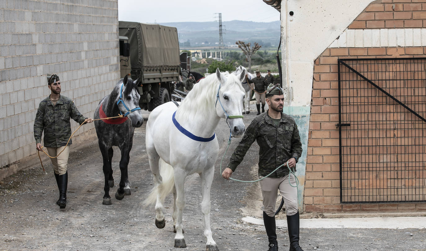 Fotos: Los caballos de la Guardia Real, una raza aparte