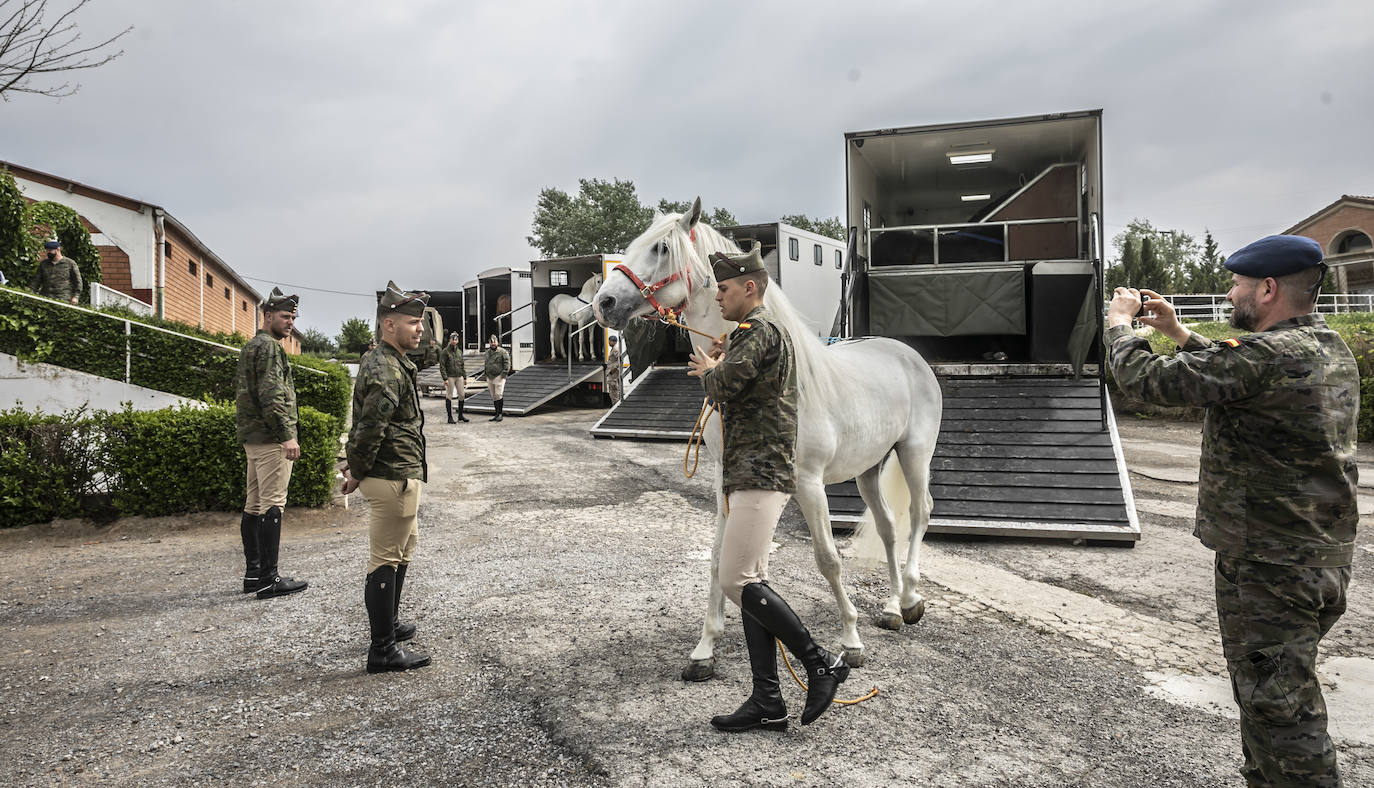 Fotos: Los caballos de la Guardia Real, una raza aparte