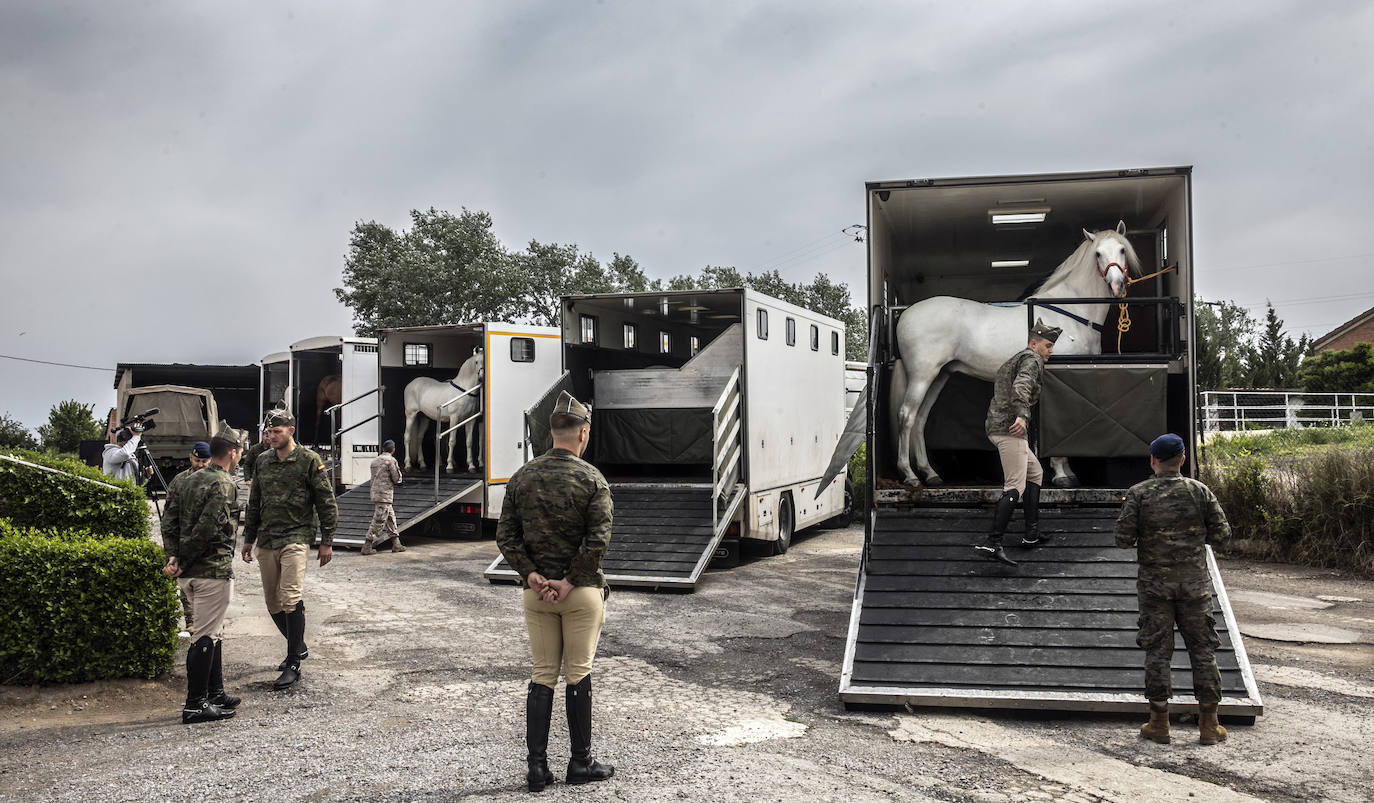 Fotos: Los caballos de la Guardia Real, una raza aparte