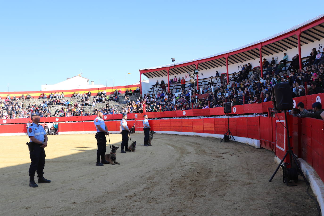 Fotos: El desfile de la caballería de la Guardia Real en Alfaro