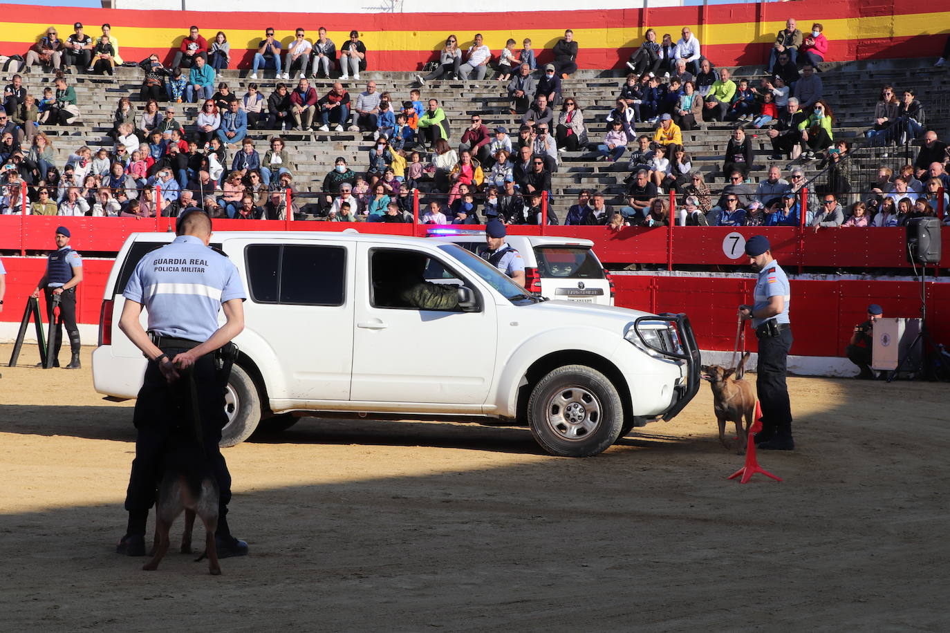 Fotos: El desfile de la caballería de la Guardia Real en Alfaro