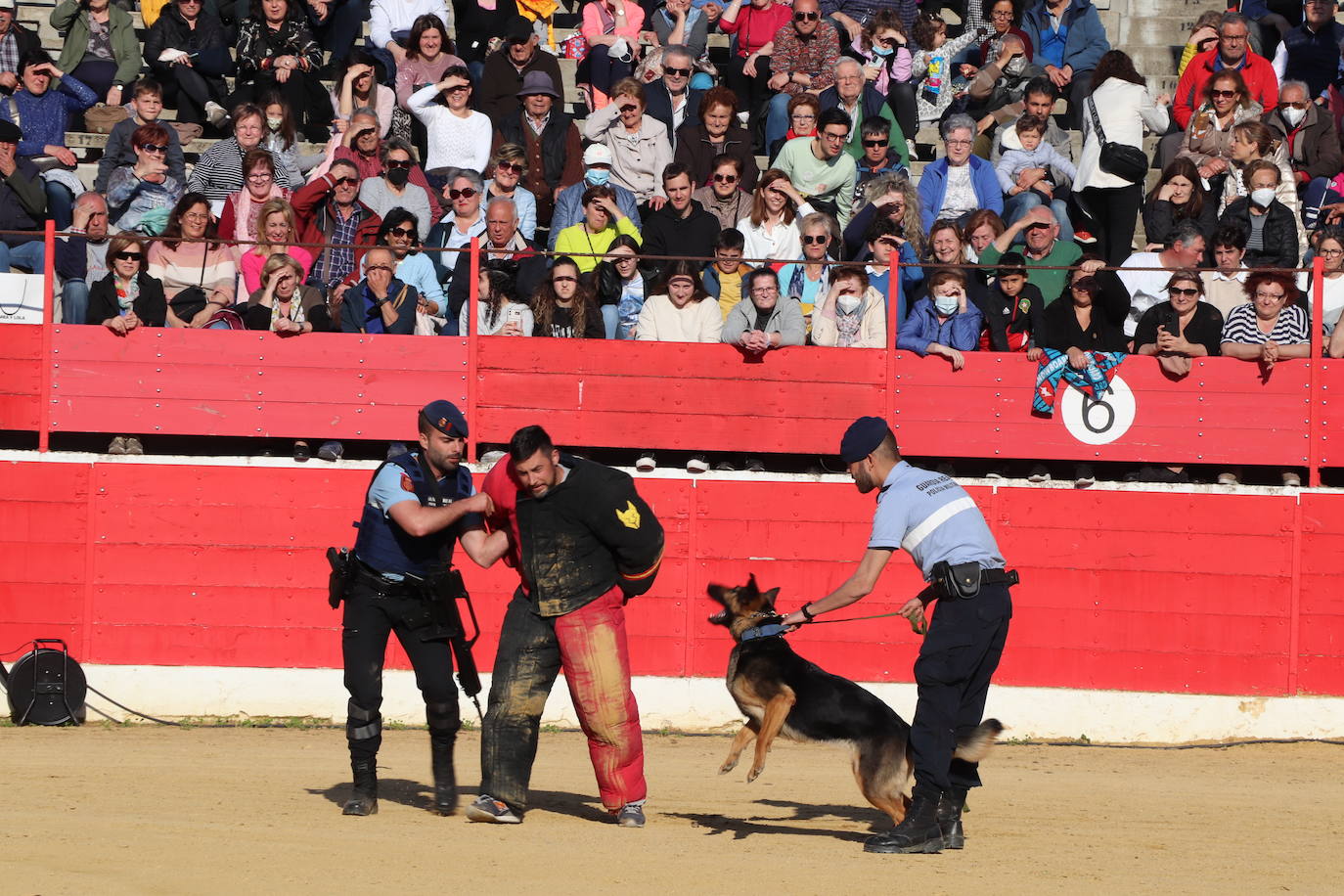 Fotos: El desfile de la caballería de la Guardia Real en Alfaro