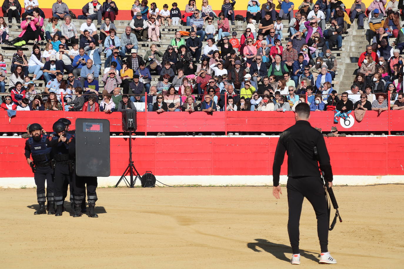 Fotos: El desfile de la caballería de la Guardia Real en Alfaro