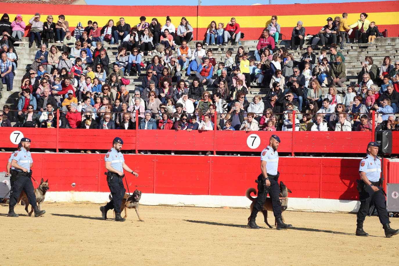 Fotos: El desfile de la caballería de la Guardia Real en Alfaro