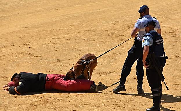Galería. Actividades en la plaza de toros de Calahorra. 