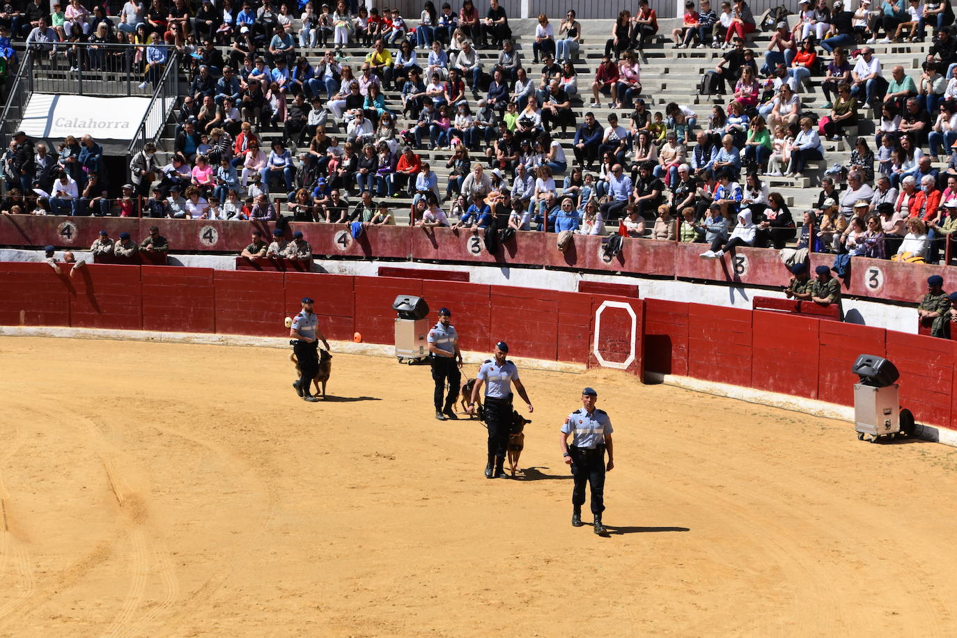 Fotos: Exhibición de la Guardia Real en la plaza de toros de Calahorra