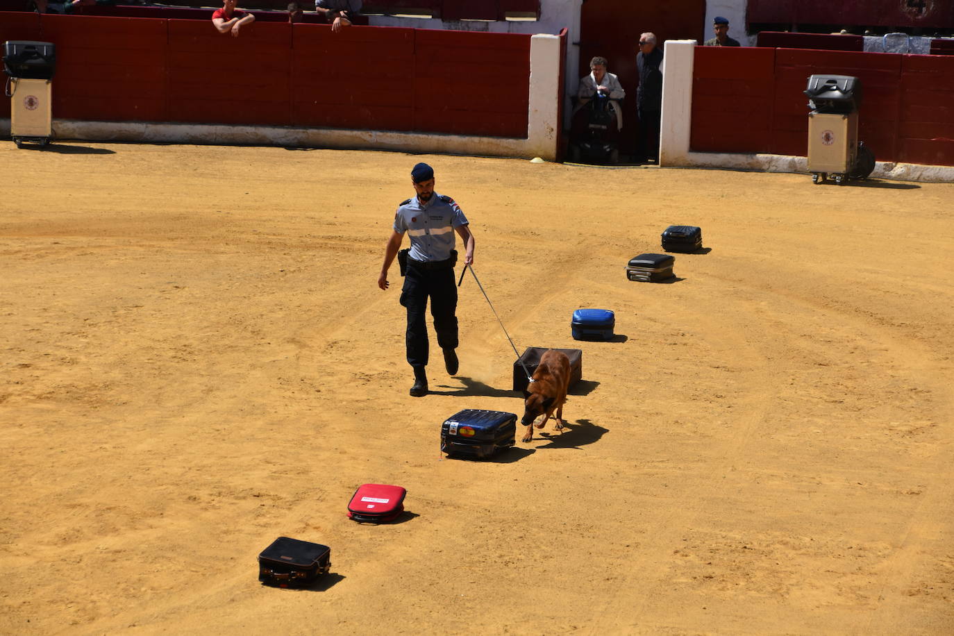 Fotos: Exhibición de la Guardia Real en la plaza de toros de Calahorra