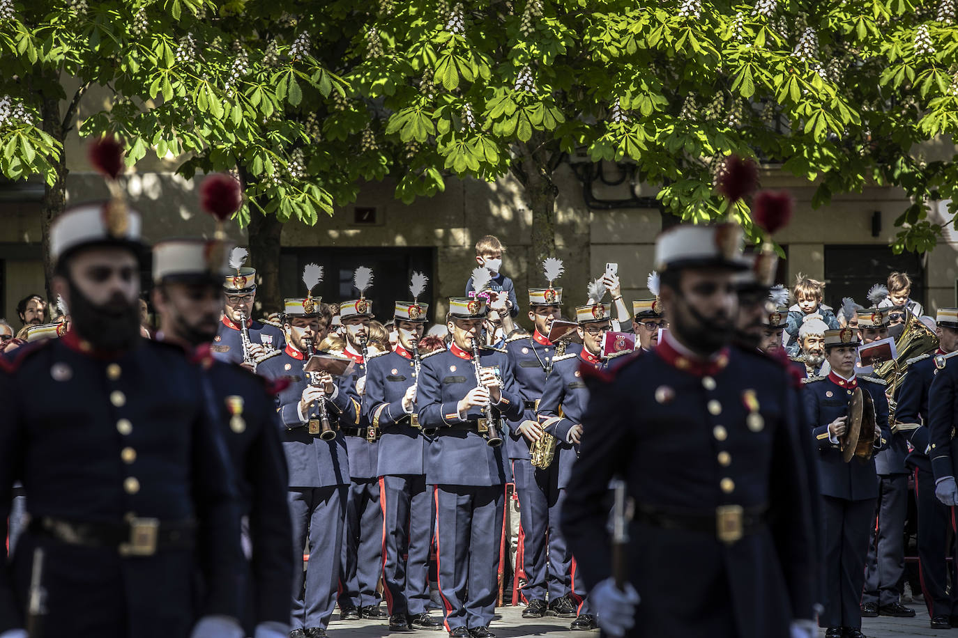 Fotos: La Guardia Real desfila por el centro de Logroño