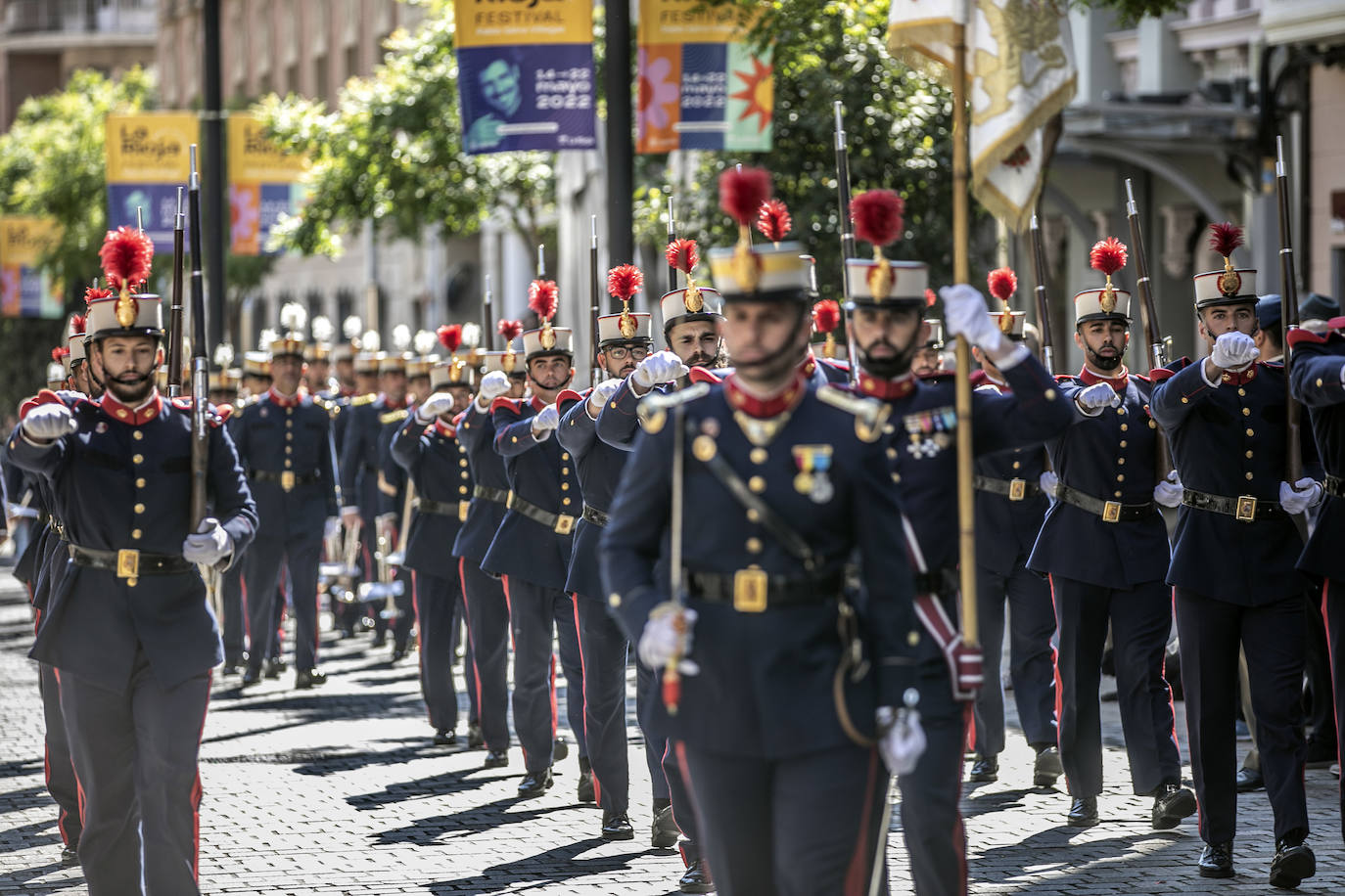 Fotos: La Guardia Real desfila por el centro de Logroño