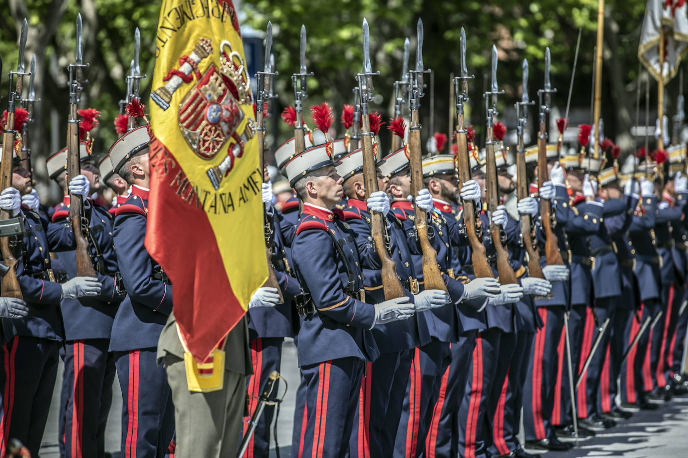 Fotos: 370 personas juran bandera en Logroño