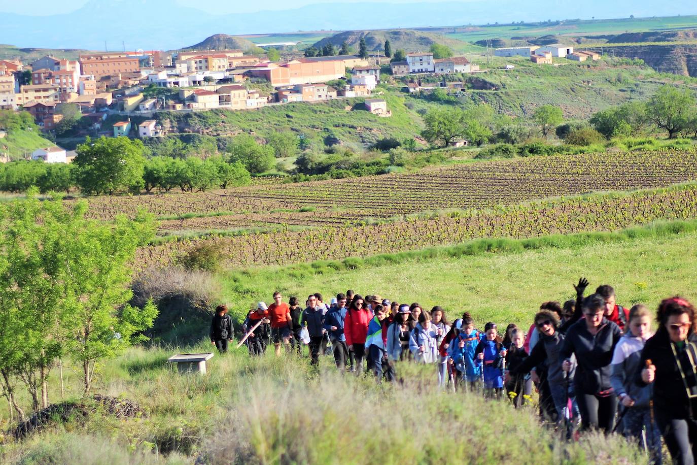 Fotos: IX Marcha Senderista Valle del Leza de Ribafrecha