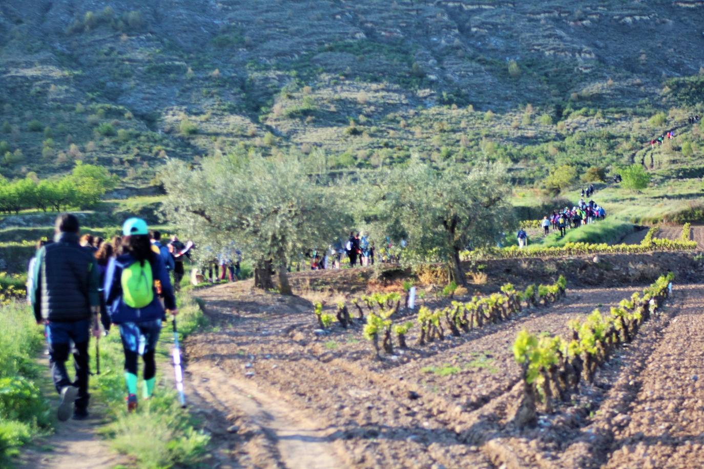 Fotos: IX Marcha Senderista Valle del Leza de Ribafrecha