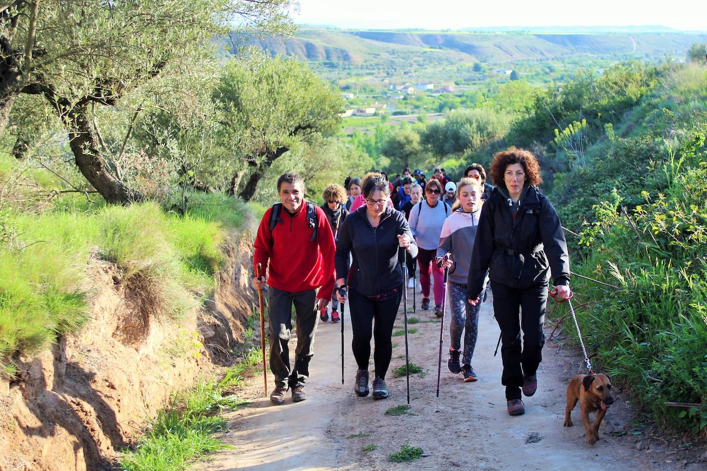 Fotos: IX Marcha Senderista Valle del Leza de Ribafrecha