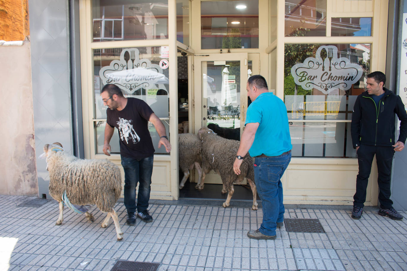 Fotos: Santo Domingo de la Calzada dispara el cohete de sus fiestas del Santo