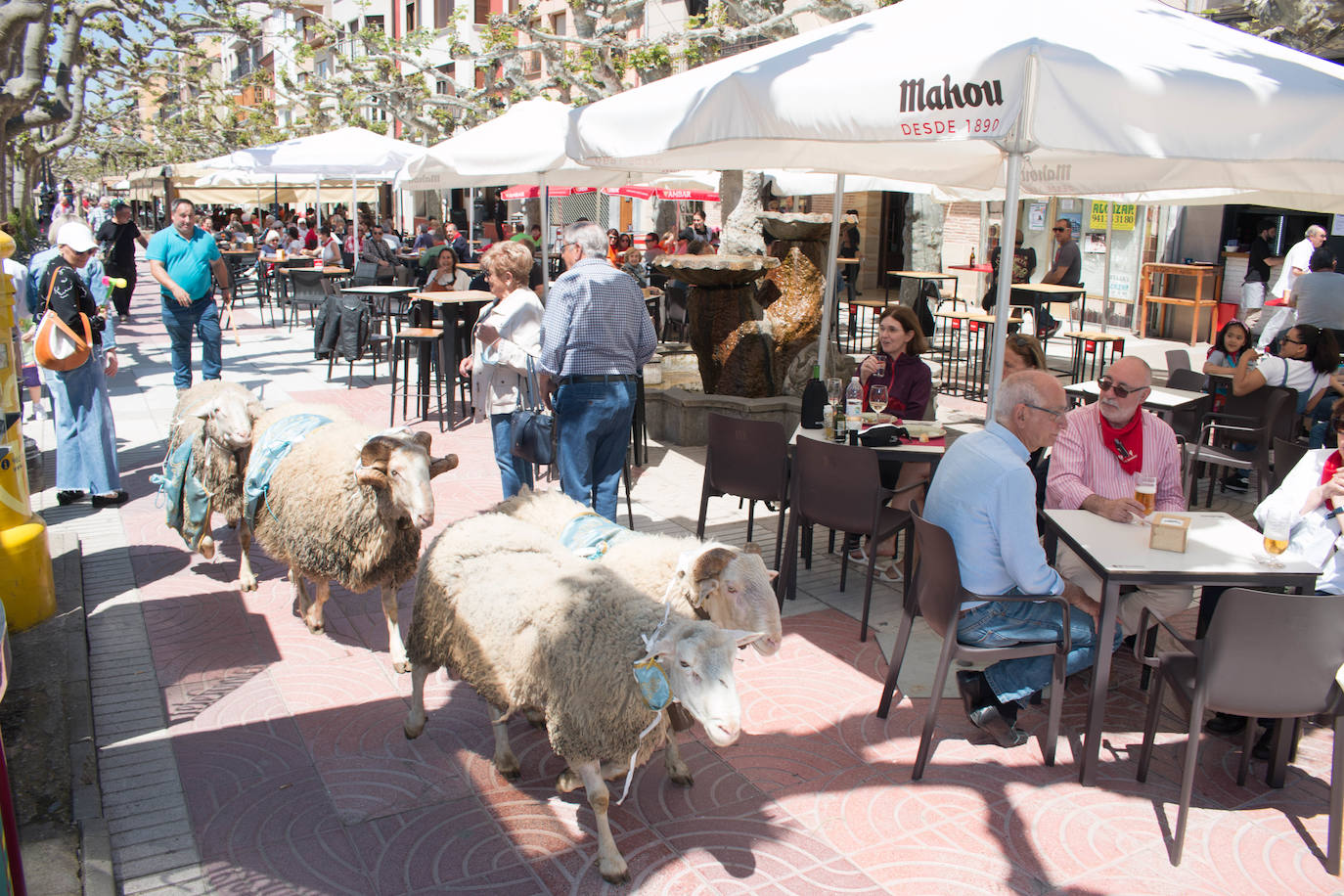 Fotos: Santo Domingo de la Calzada dispara el cohete de sus fiestas del Santo