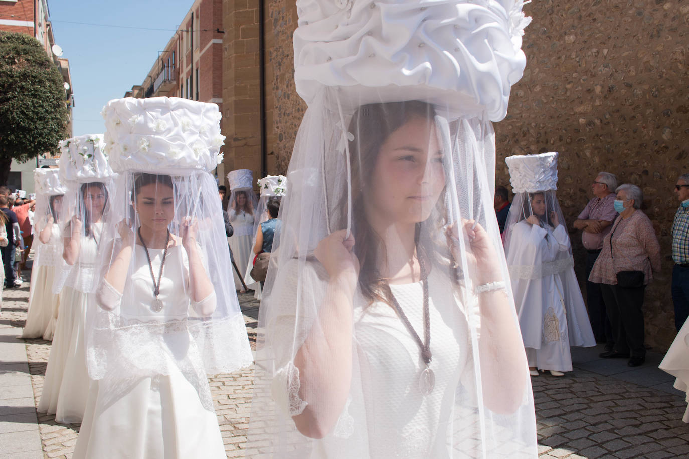 Fotos: Procesión de las doncellas en Santo Domingo de la Calzada