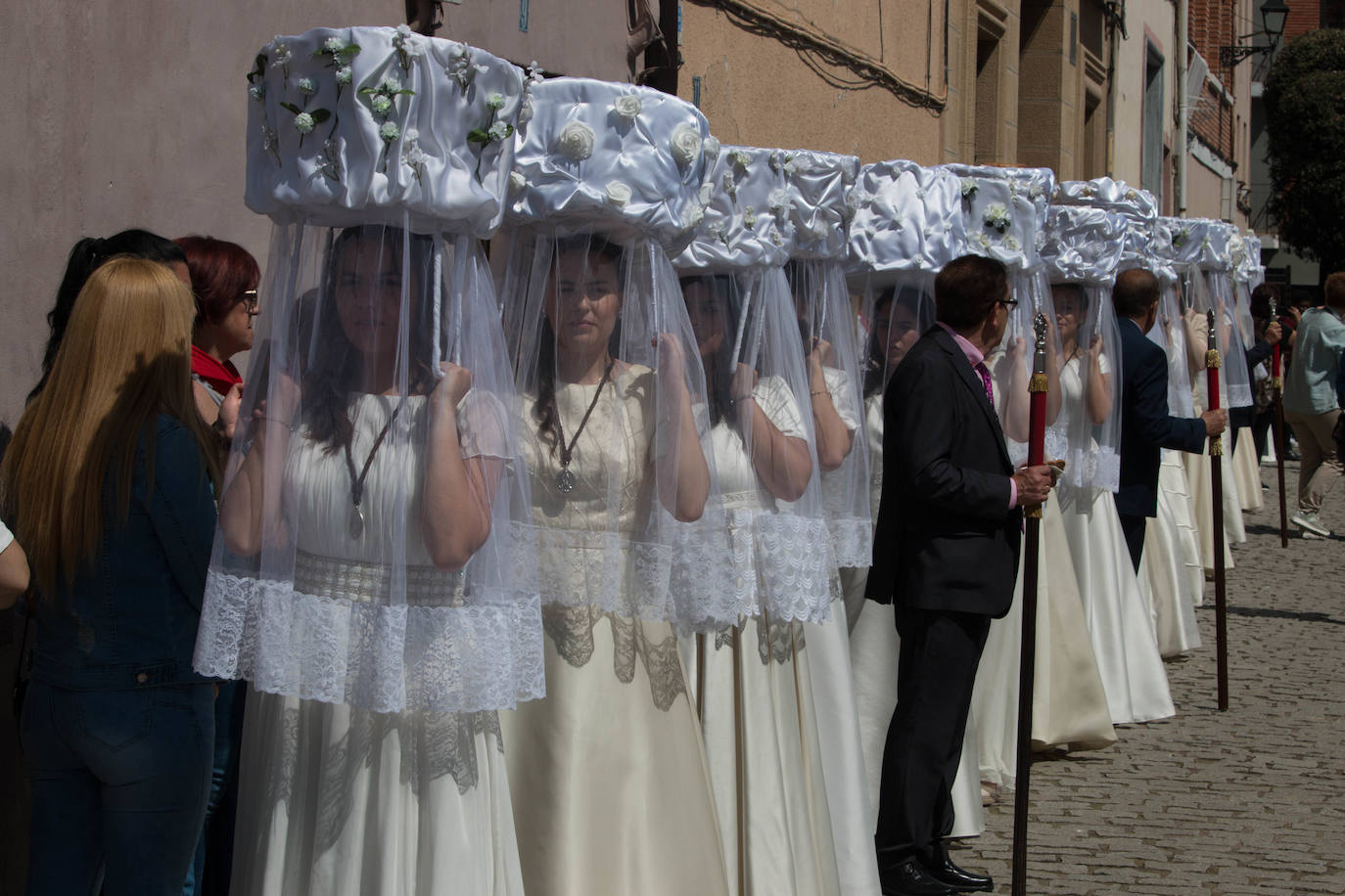 Fotos: Procesión de las doncellas en Santo Domingo de la Calzada