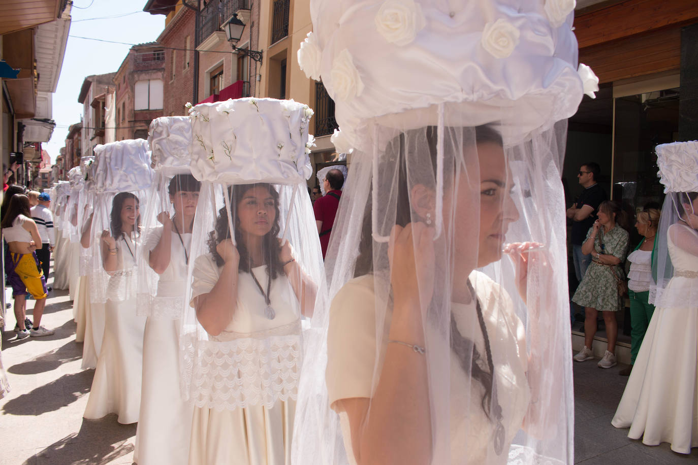 Fotos: Procesión de las doncellas en Santo Domingo de la Calzada