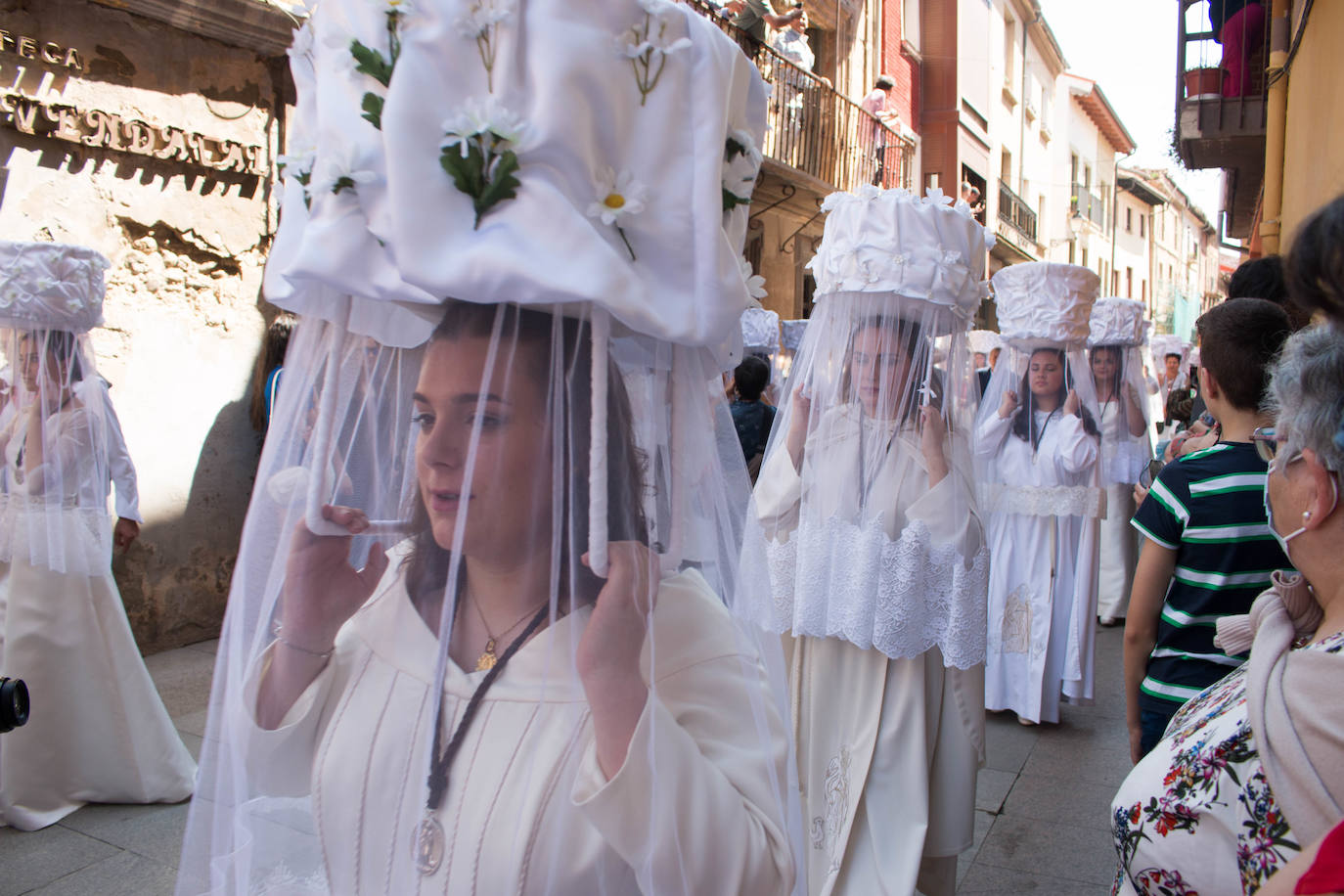 Fotos: Procesión de las doncellas en Santo Domingo de la Calzada