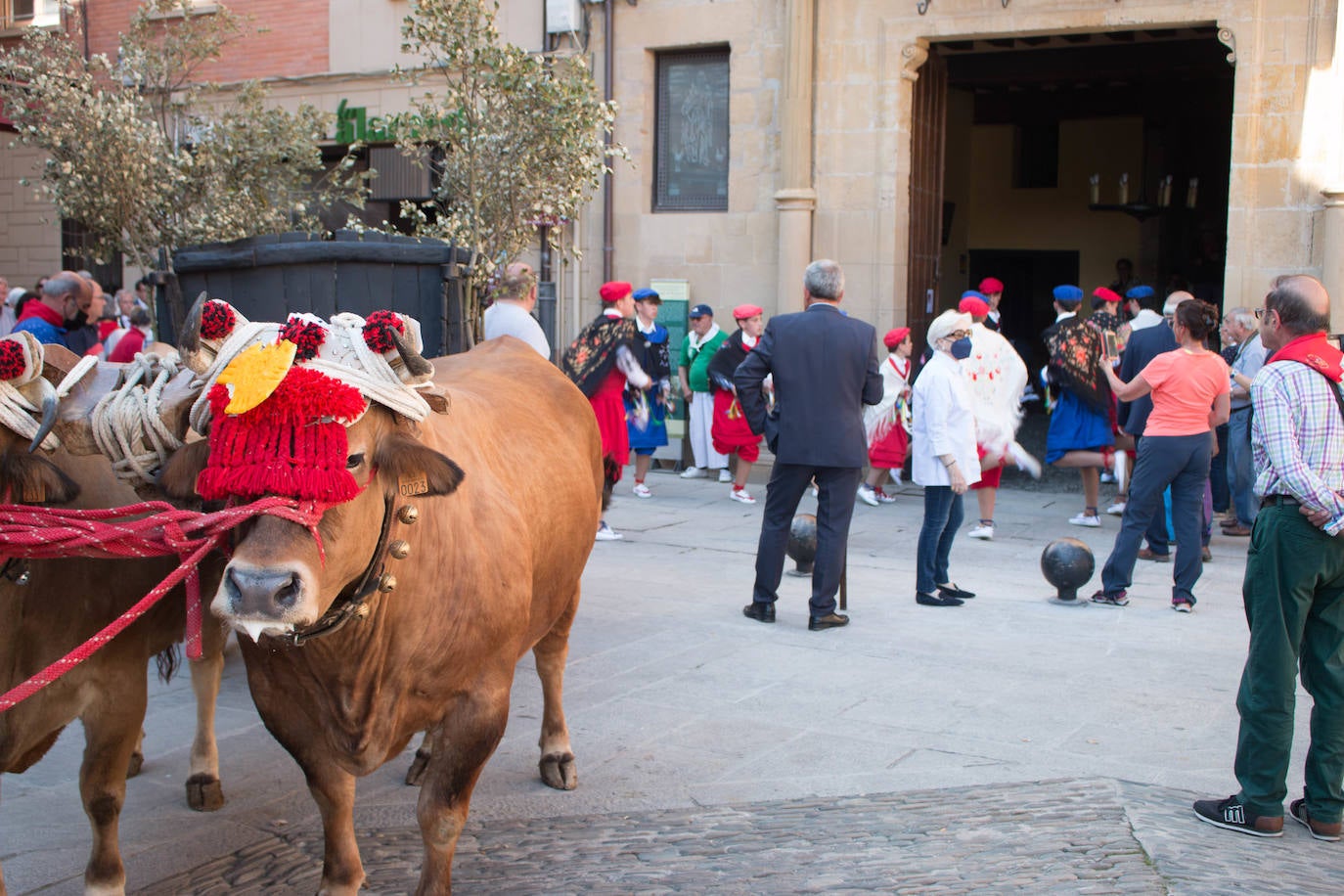 Fotos: Procesiones de Los Ramos y de Las Prioras en Santo Domingo de la Calzada