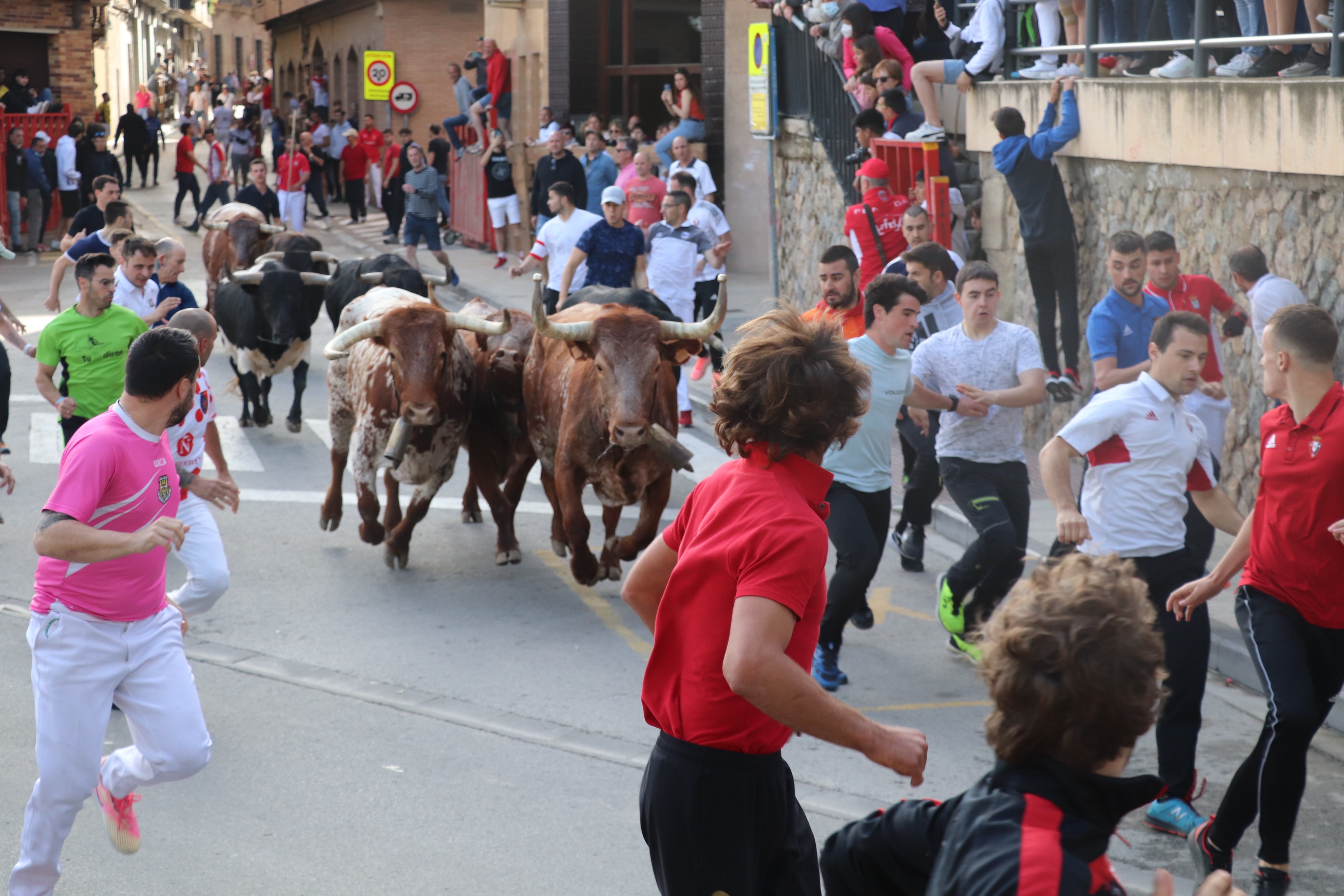 Fotos: Alfaro vive la alegría de San Isidro