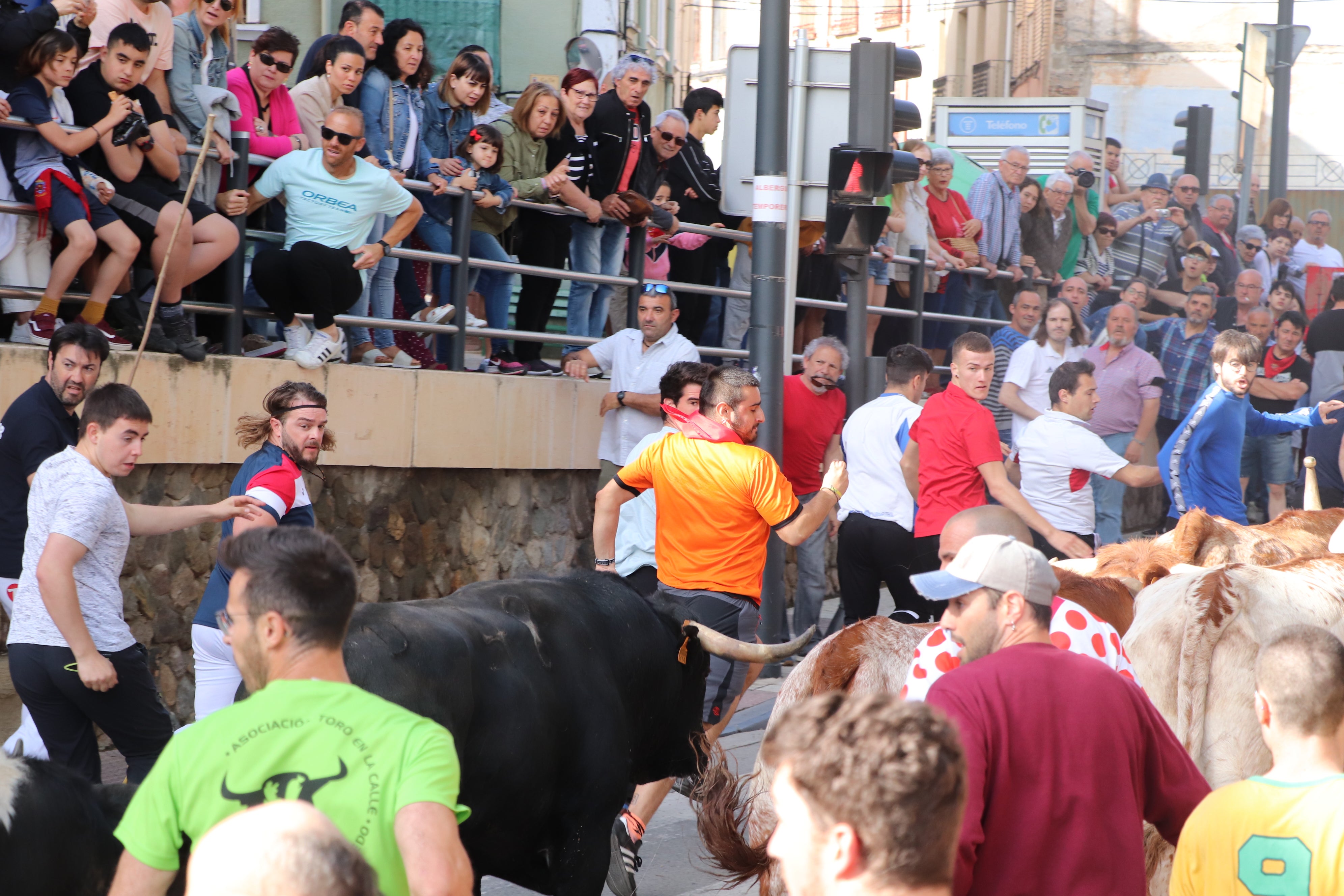 Fotos: Alfaro vive la alegría de San Isidro