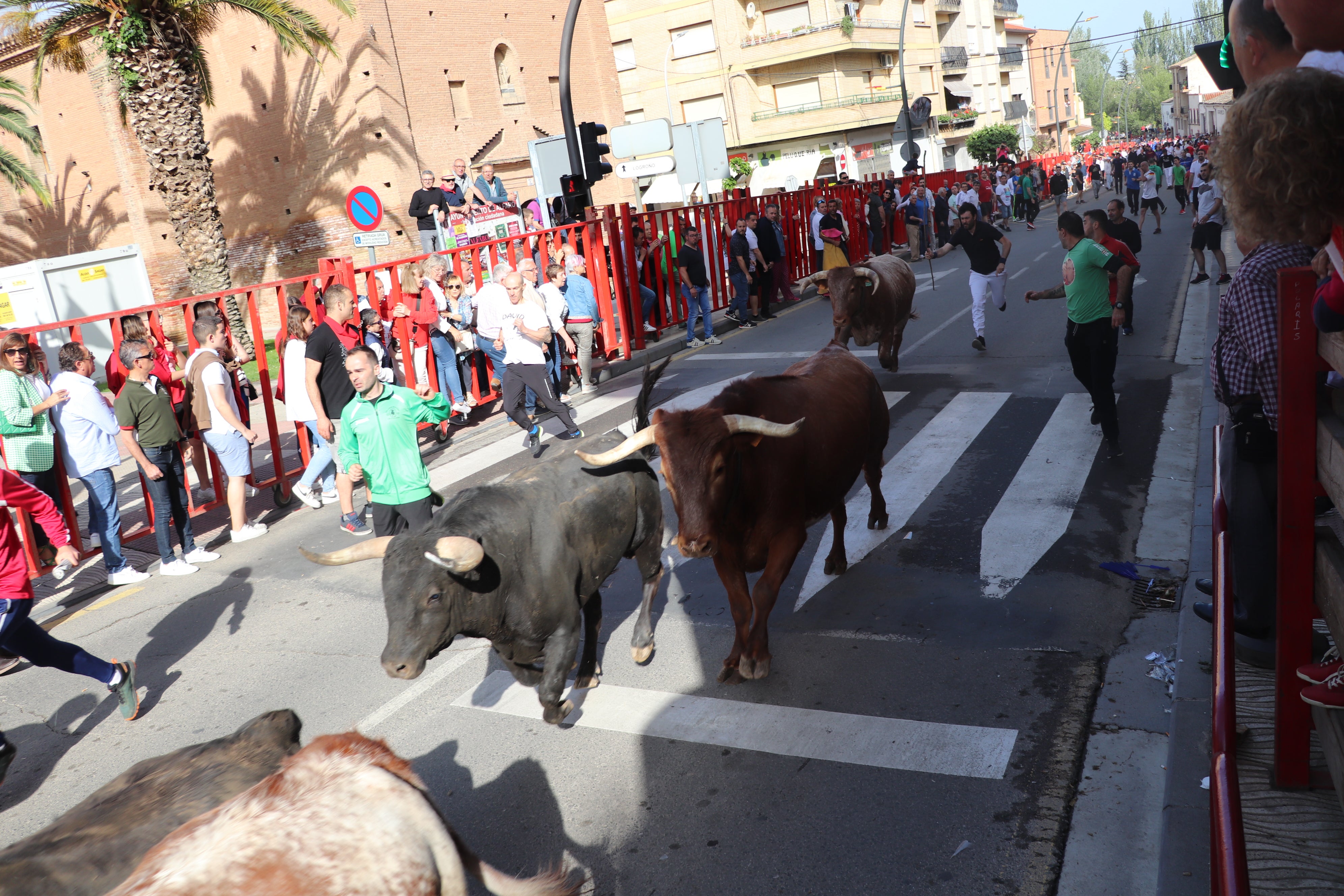 Fotos: Alfaro vive la alegría de San Isidro