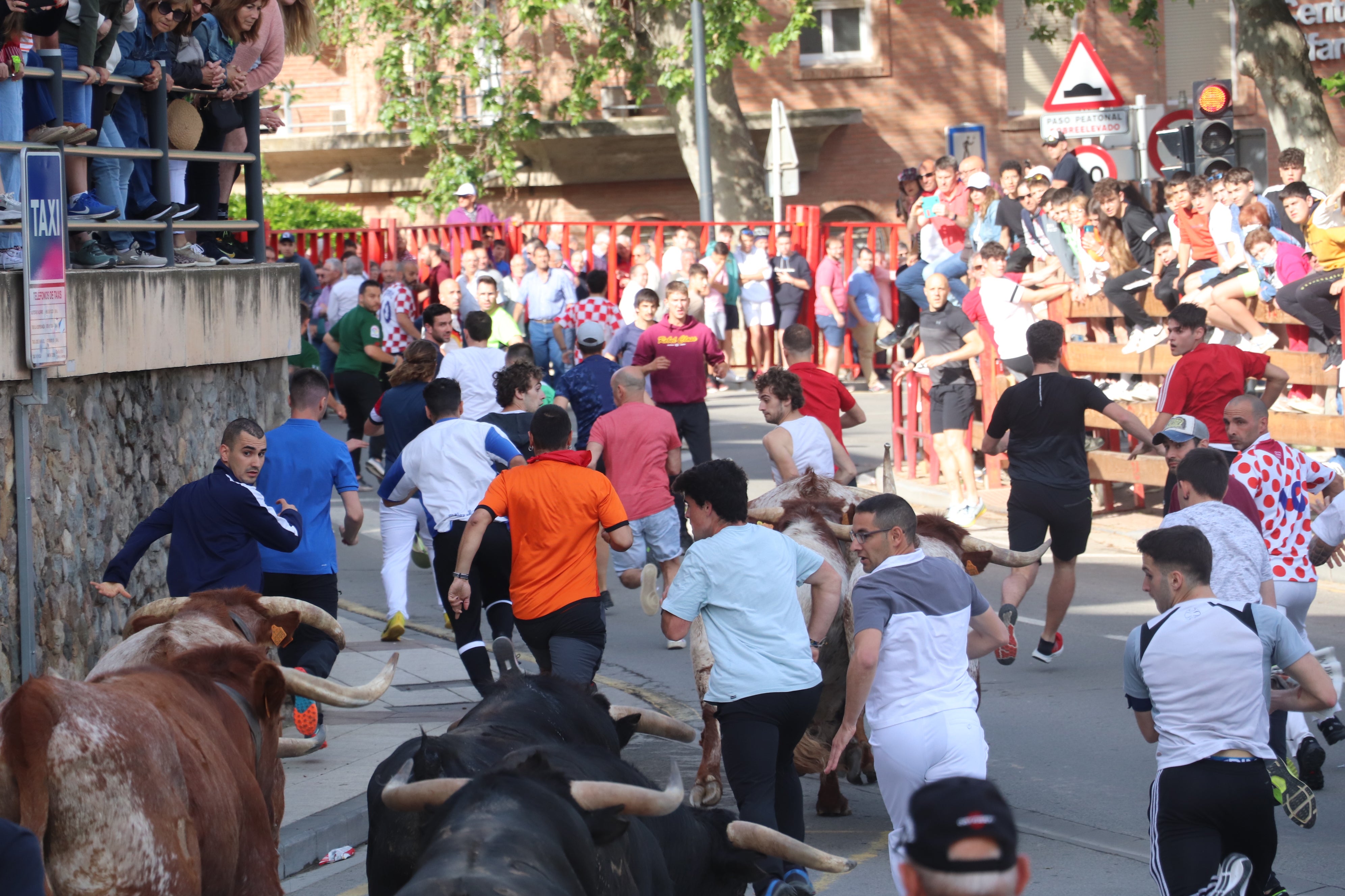 Fotos: Alfaro vive la alegría de San Isidro