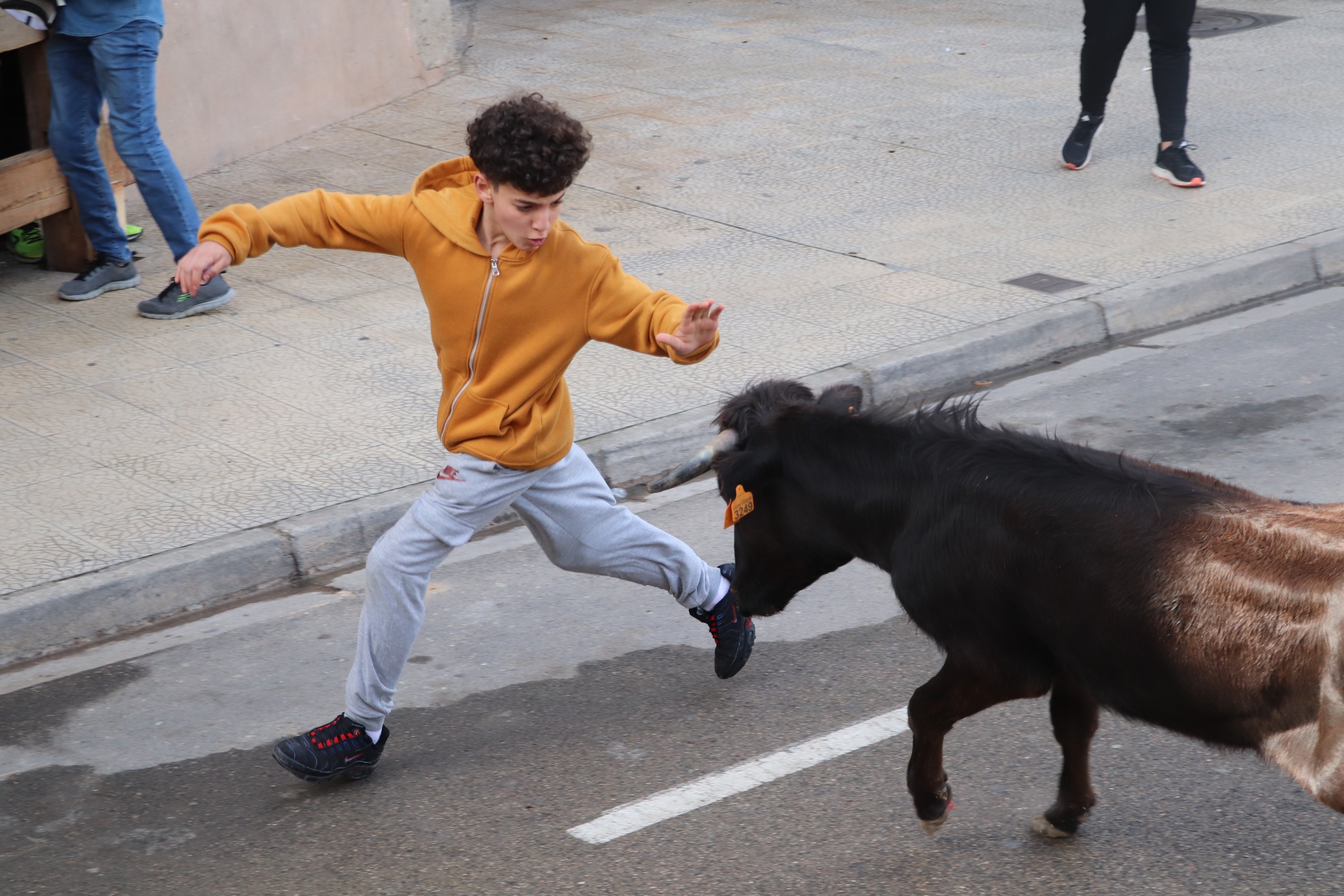 Fotos: Alfaro vive la alegría de San Isidro