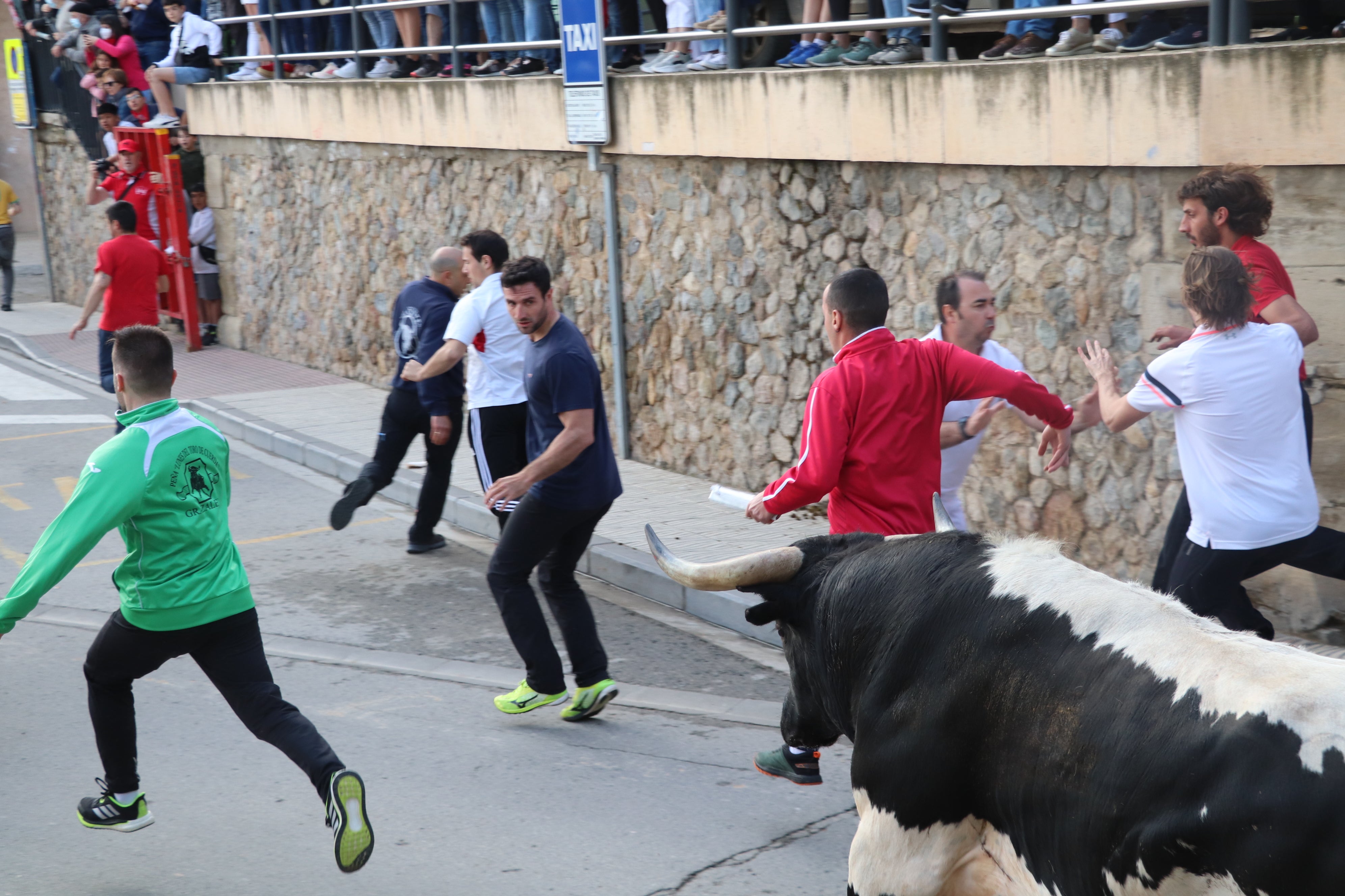 Fotos: Alfaro vive la alegría de San Isidro