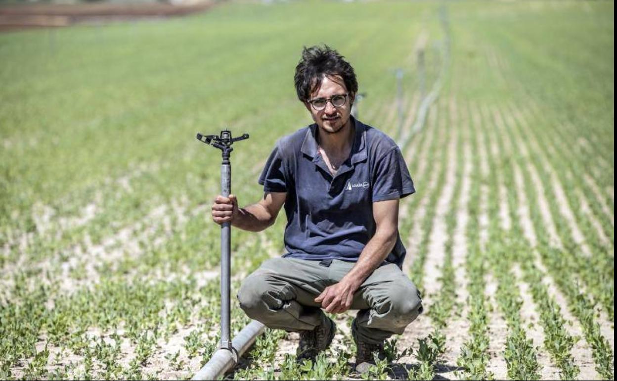 Manuel Palacios, agricultor (Rodezno-Ollauri)