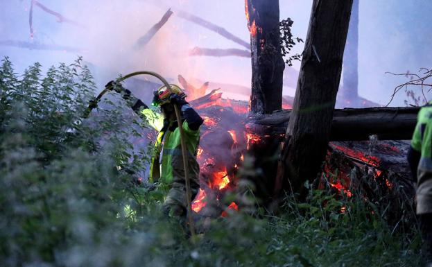 Trabajos de extinción de los bomberos en el parque del Ebro. 