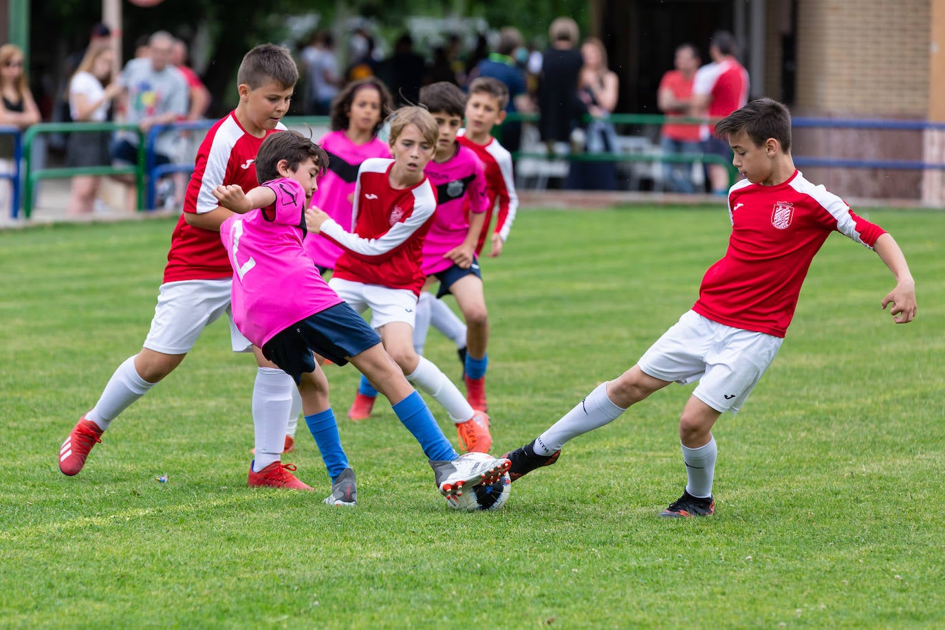 Fotos: Las imágenes del primer fin de semana del torneo Cantera del Berceo