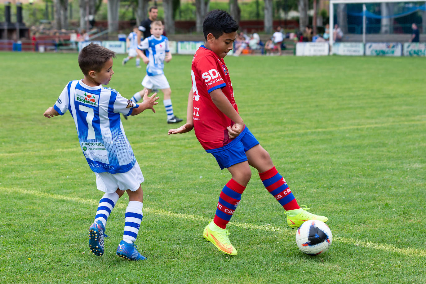 Fotos: Las imágenes del primer fin de semana del torneo Cantera del Berceo