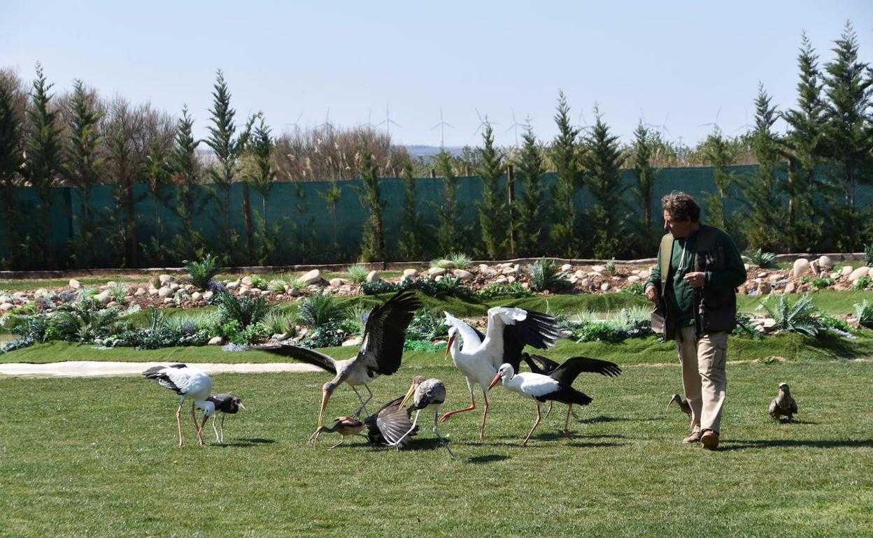 Luis Lezana, en las instalaciones del parque Tierra Rapaz ubicado a 400 metros de la planta de biodiésel. 