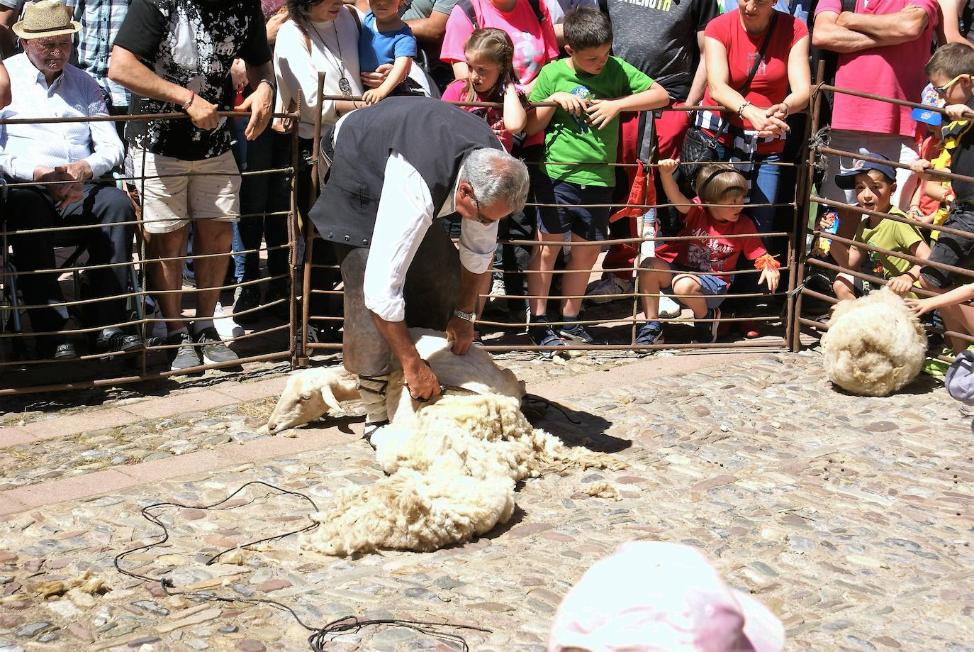 Fotos: Las ovejas, protagonistas de la gran fiesta de la trashumancia