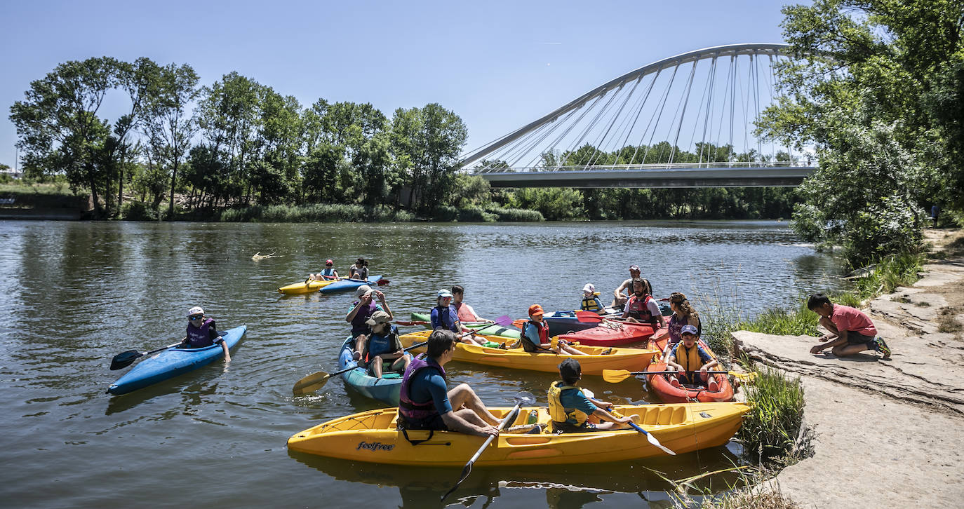 Fotos: Jornada didáctica en kayak para conocer la fauna del Ebro