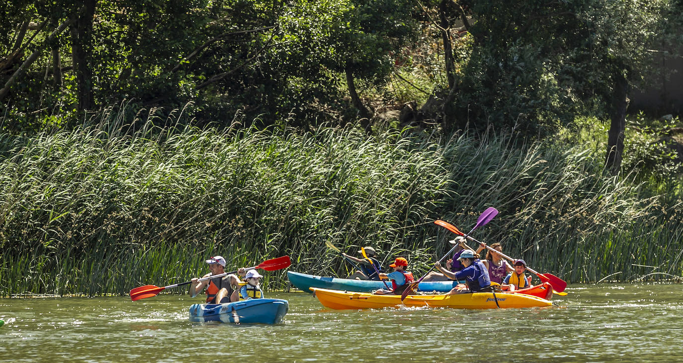 Fotos: Jornada didáctica en kayak para conocer la fauna del Ebro