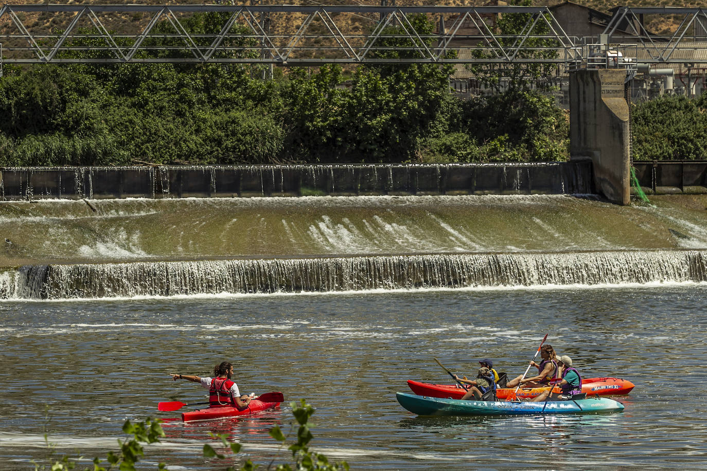 Fotos: Jornada didáctica en kayak para conocer la fauna del Ebro