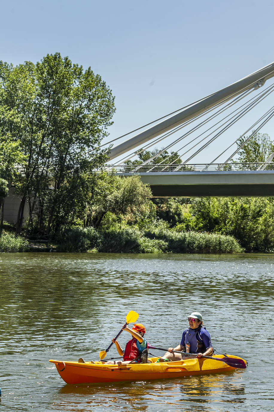 Fotos: Jornada didáctica en kayak para conocer la fauna del Ebro