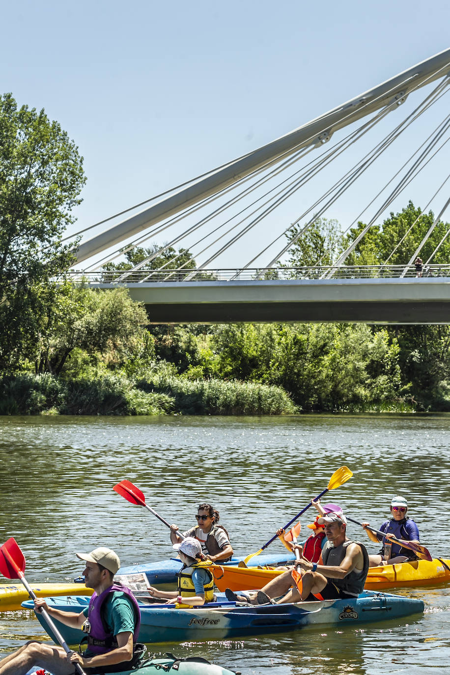 Fotos: Jornada didáctica en kayak para conocer la fauna del Ebro