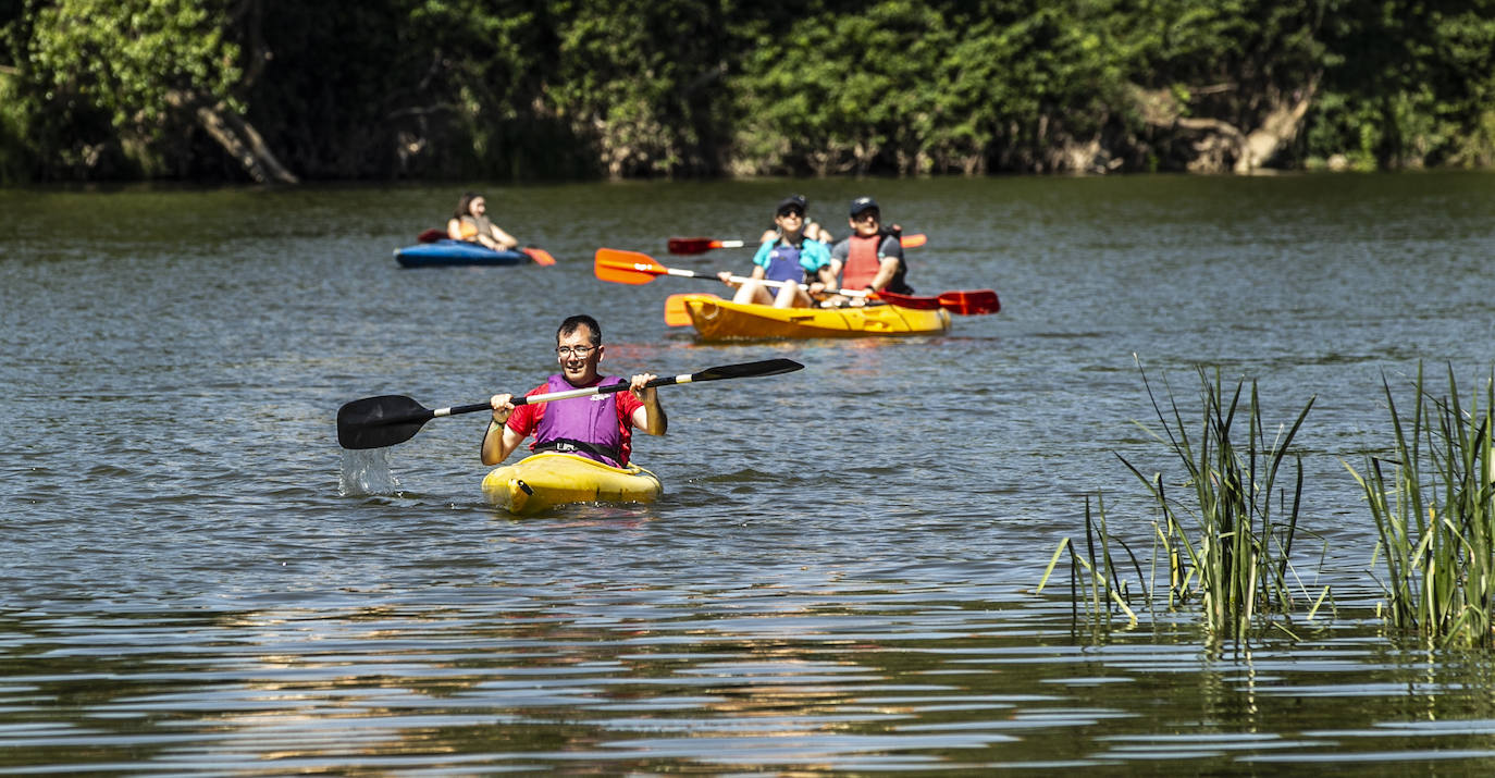 Fotos: Jornada didáctica en kayak para conocer la fauna del Ebro