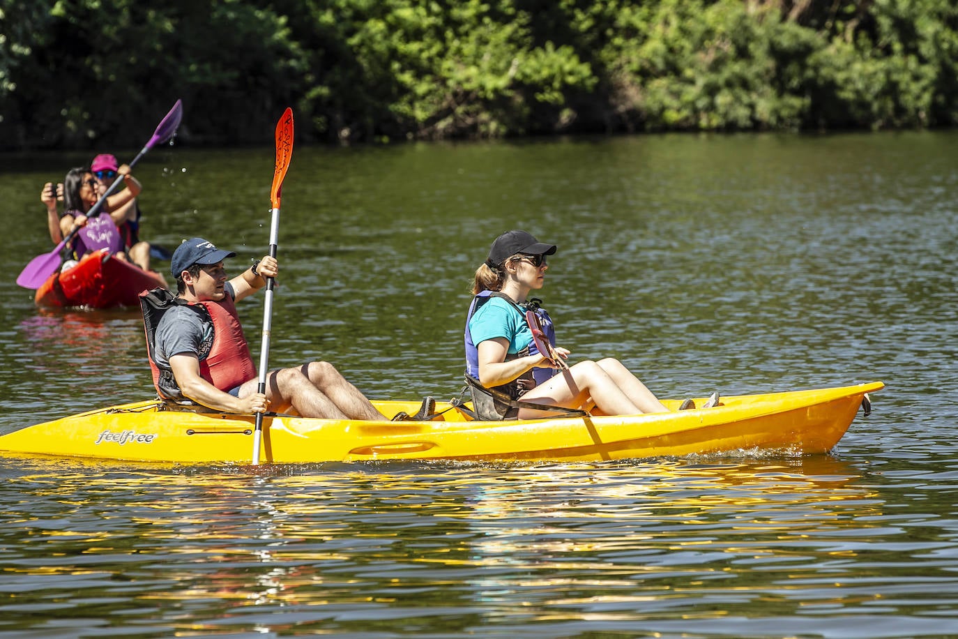 Fotos: Jornada didáctica en kayak para conocer la fauna del Ebro