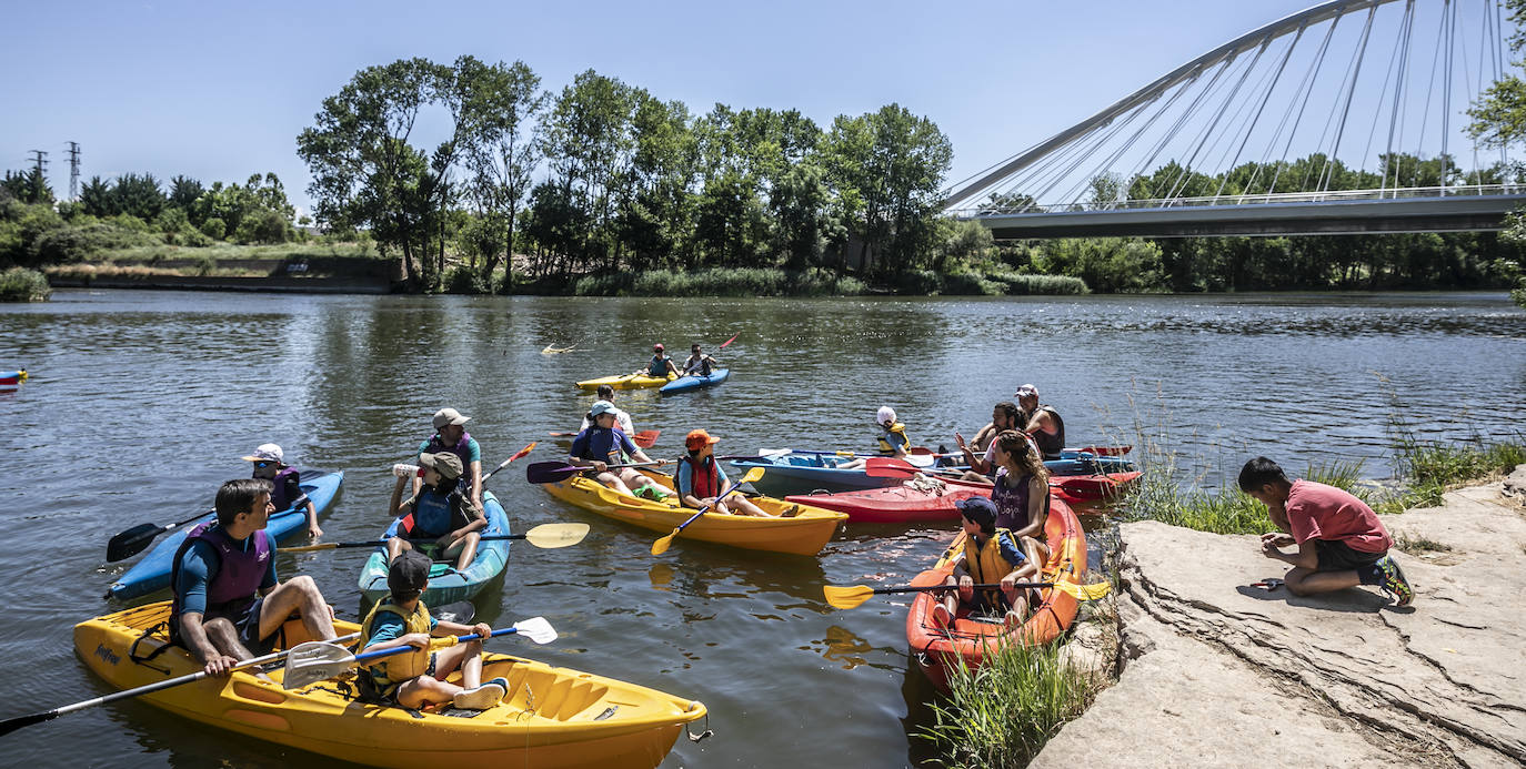 Fotos: Jornada didáctica en kayak para conocer la fauna del Ebro