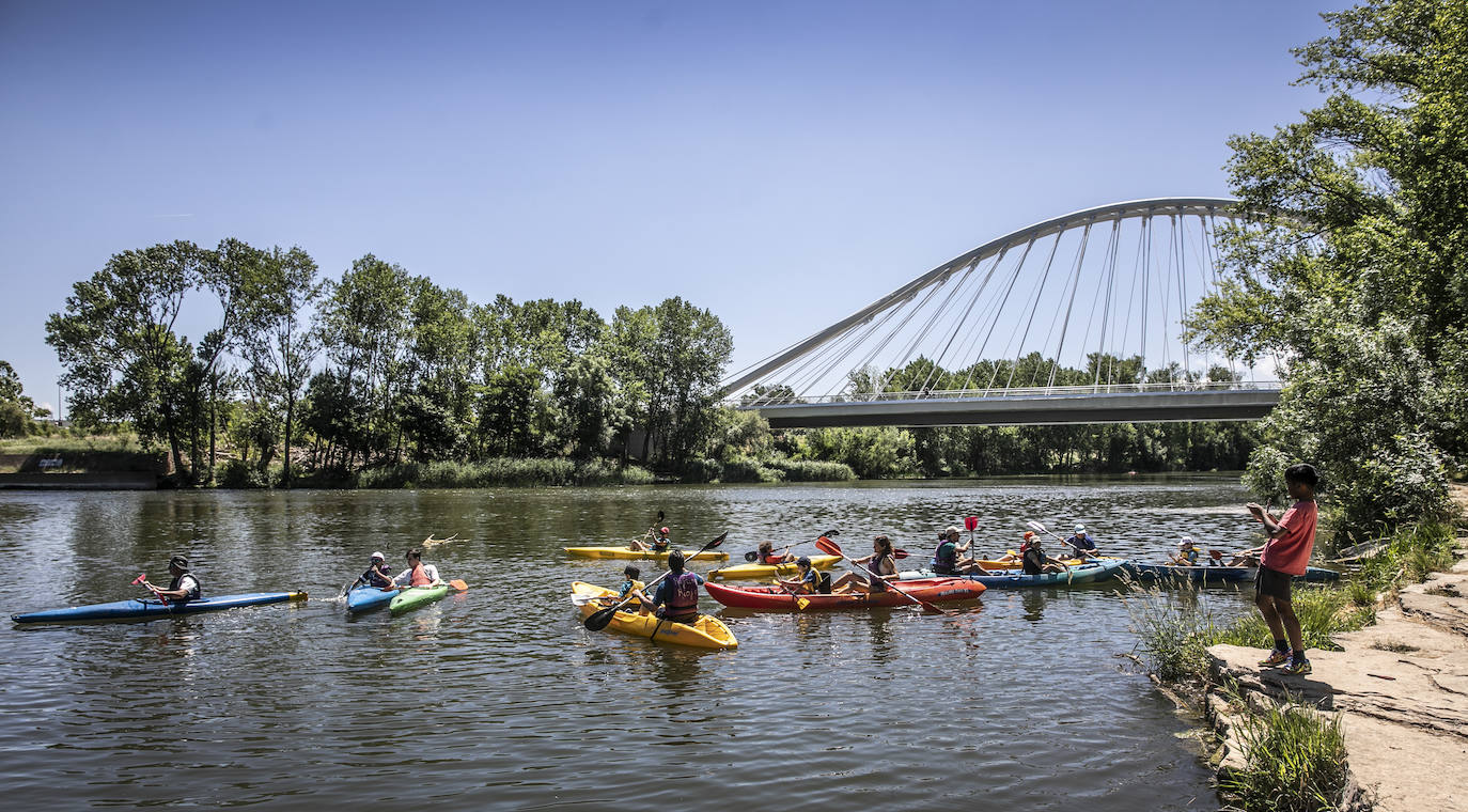 Fotos: Jornada didáctica en kayak para conocer la fauna del Ebro