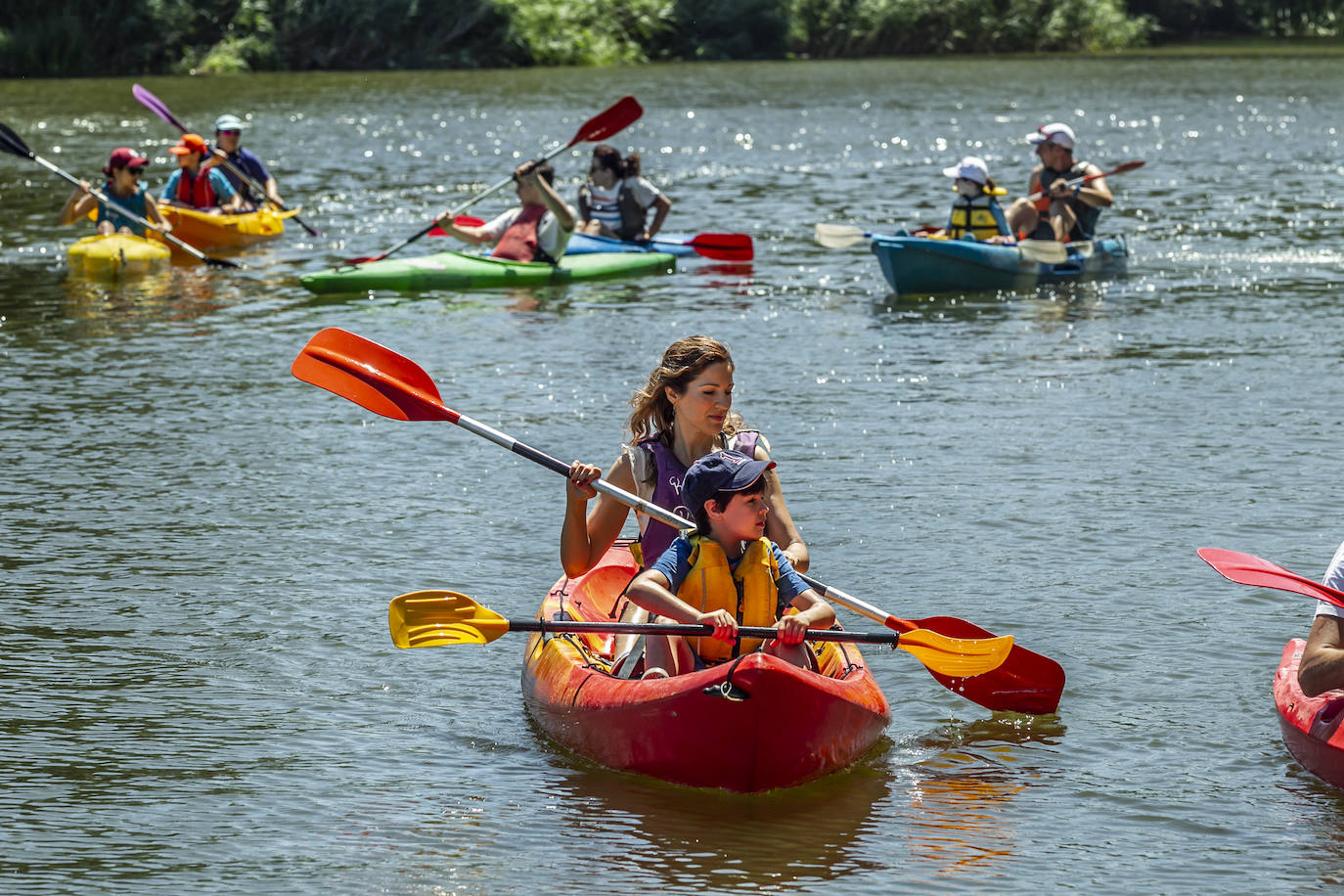 Fotos: Jornada didáctica en kayak para conocer la fauna del Ebro