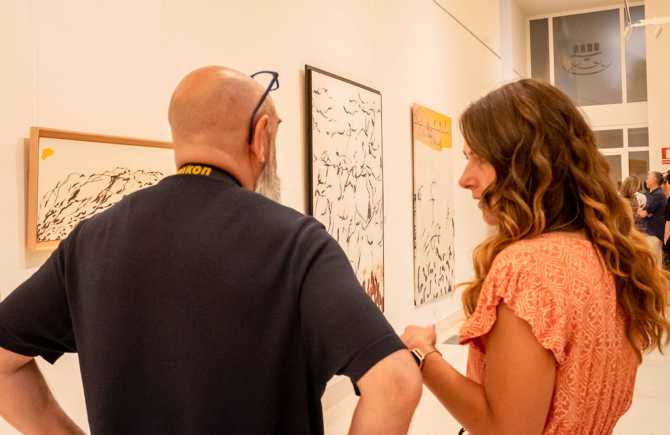 Fotos: Todas las banderas de Alberto Corazón